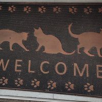にゃんとパリパリなクレープ　入口マット